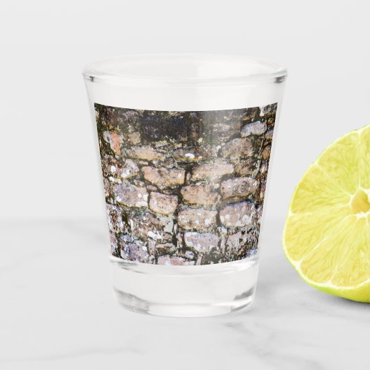Mayan Ruïnes Muur Shot Glas (Voorkant)