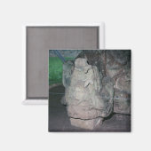 Mayan Ruins N.W. Honduras Foto Ontworpen Kleur Magneet (Voorkant / Achterkant)