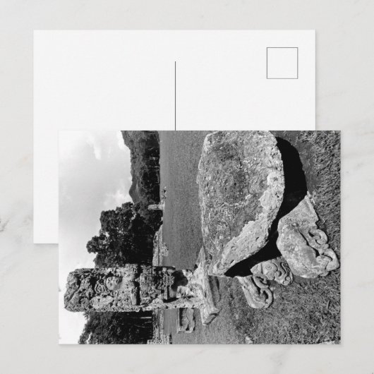 Mayan Ruins of Copan Cosmic Turtle Briefkaart (Voorkant / Achterkant)