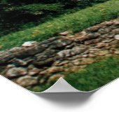Mayan Ruins of Palenque Poster (Hoek)