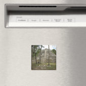 Mayan Ruins op Lamanai, Belize Magneet (Insitu (Vaatwasser))