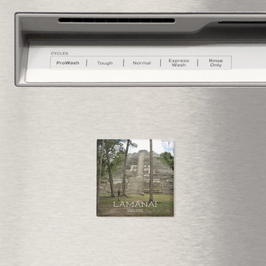 Mayan Ruins op Lamanai, Belize Magneet (Insitu (Vaatwasser))