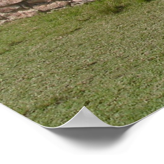 Mayan Ruins, Tulum, Mexico Poster (Hoek)