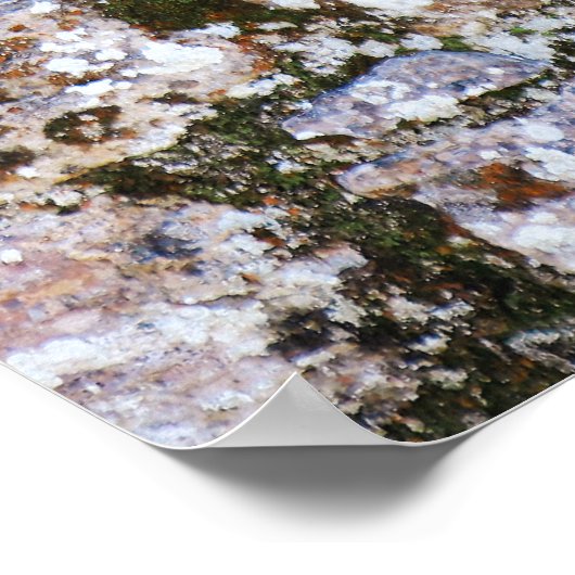 Mayan Ruins Wall  Poster (Hoek)