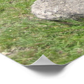 Mayan Snake Poster (Hoek)