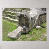 Mayan Snake Poster (Voorkant)