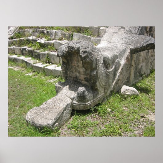 Mayan Snake Poster (Voorkant)