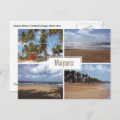 Mayaro Beach Collage (met meerdere uitzichten) Bri Briefkaart (Voorkant / Achterkant)
