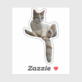 Maybe You Should Cover That Up? Cat Sticker (Vel)