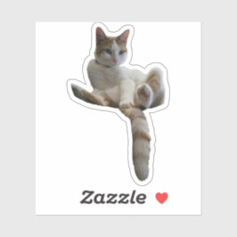 Maybe You Should Cover That Up? Cat Sticker