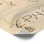 Mayflies II van Raphael Kirchner Poster (Hoek)