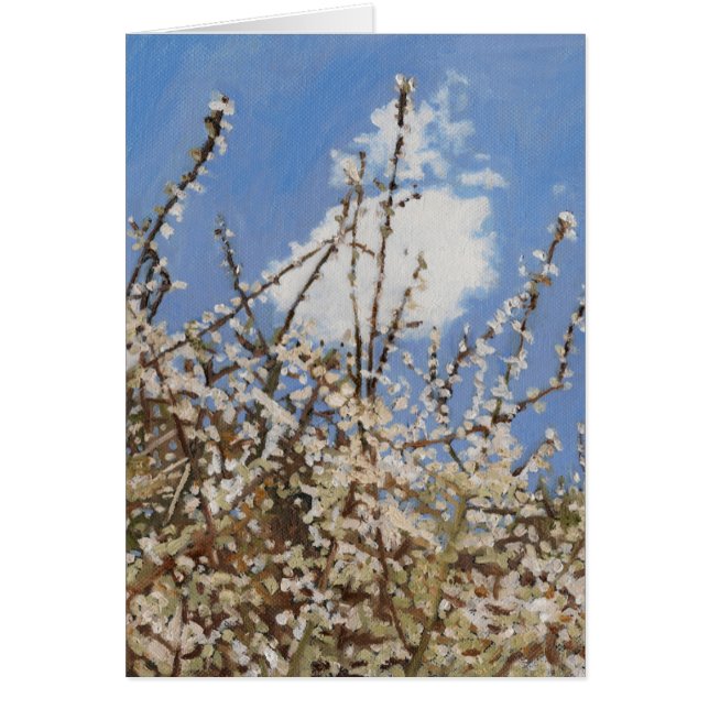 Mayflower 2012 (Voorkant)