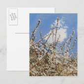 Mayflower 2012 briefkaart (Voorkant / Achterkant)