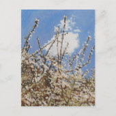 Mayflower 2012 briefkaart (Voorkant)