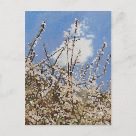 Mayflower 2012 briefkaart (Voorkant)