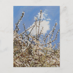 Mayflower 2012 briefkaart