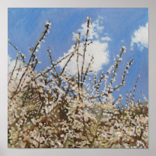 Mayflower 2012 poster