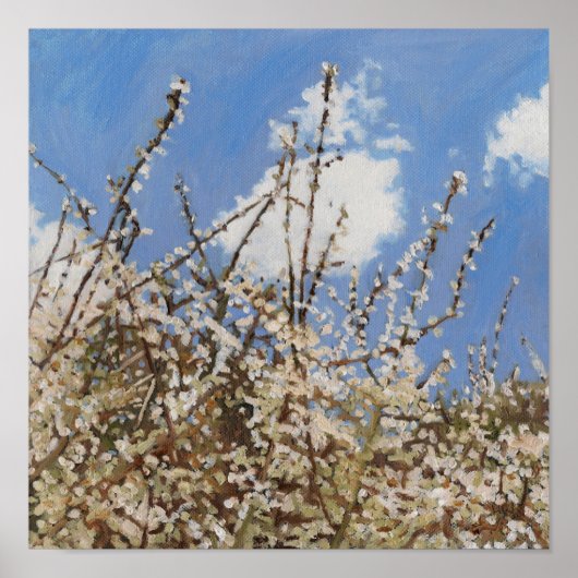 Mayflower 2012 poster (Voorkant)