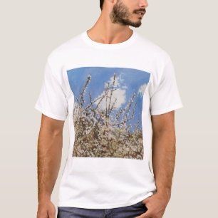 Mayflower 2012 t-shirt