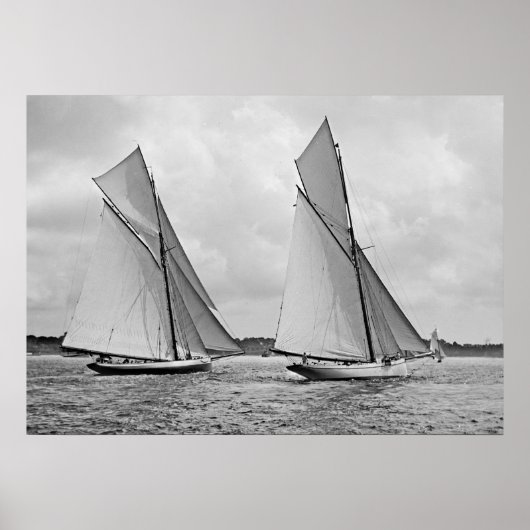 Mayflower en Galatea Start America's Cup 1886 Poster (Voorkant)
