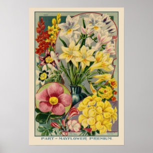Mayflower Vintage Hoesje Poster