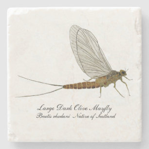 Mayfly Onderzetter