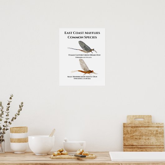 Mayfly Poster (Keuken)
