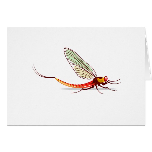 Mayfly-vector (Voorkant Horizontaal)