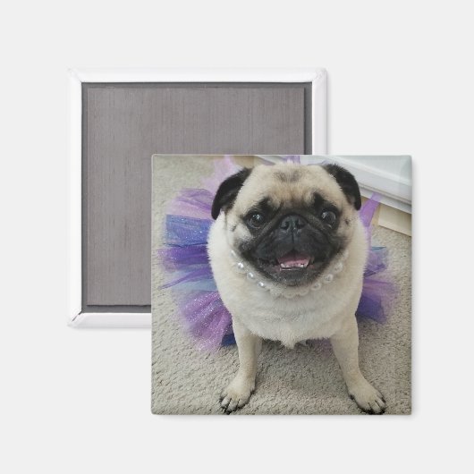 Maylene Magnet (Voorkant / Achterkant)