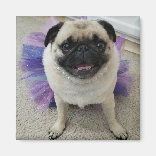 Maylene Magnet (Voorkant)