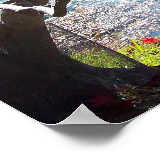 Maymont Gardens Red Maple Tree Virginia Poster Art (Hoek)