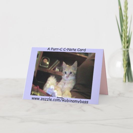 Maynard Maine Coon2, Zieken als… - Kaart (Achterkant)