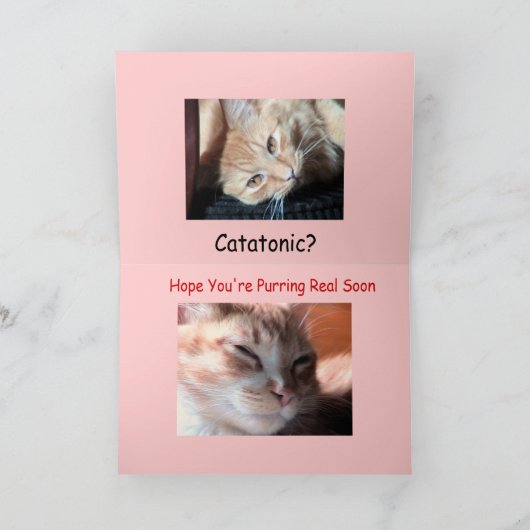 Maynard Maine Coon2, Zieken als… - Kaart (Binnen)