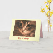 Maynard Maine Coon2, Zieken als… - Kaart (Gele Bloem)