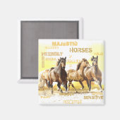 Mays Horses Magnet (Voorkant / Achterkant)