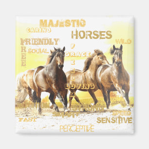 Mays Horses Magnet