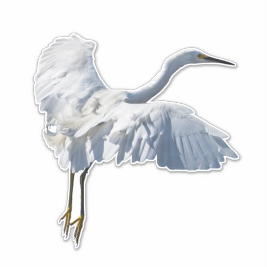 Mays kijkend sneeuwgat sticker (Voorkant)