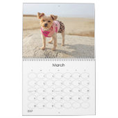 Mayzie Calendar VI (stijl 2025) Kalender (Mar 2027)