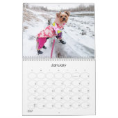 Mayzie Calendar VI (stijl 2025) Kalender (Jan 2027)