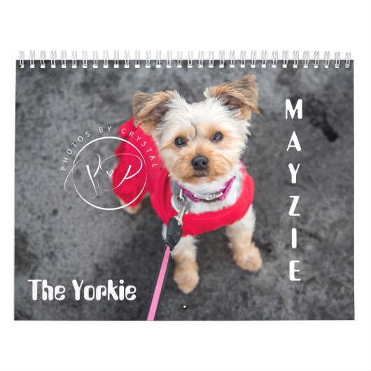 Mayzie Kalender (2021 Stijl) (Hoes)