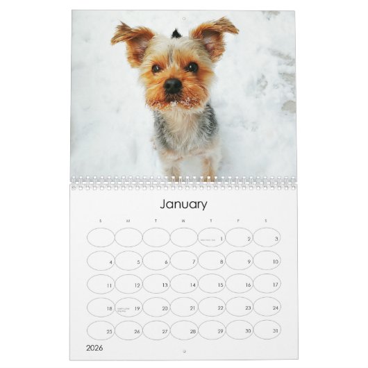 Mayzie Kalender (2021 Stijl) (Jan 2026)