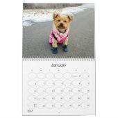 Mayzie Kalender II (2022 Stijl) (Jan 2027)