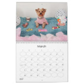 Mayzie Kalender III (2023 Stijl) (Mar 2027)
