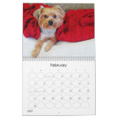 Mayzie Kalender III (2023 Stijl) (Feb 2027)