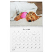 Mayzie Kalender III (2023 Stijl) (Jan 2027)