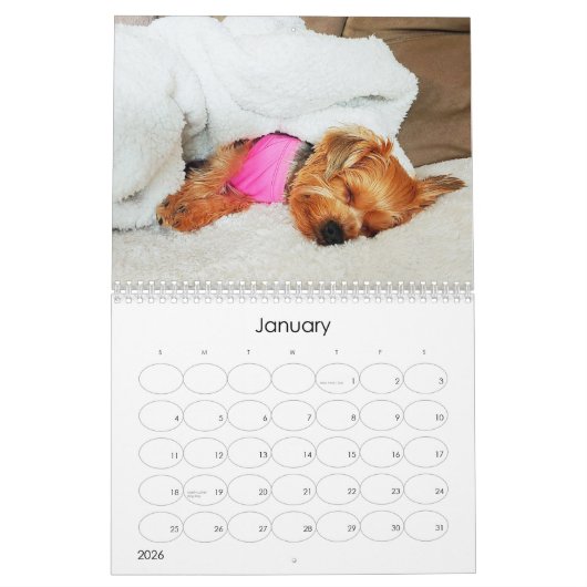 Mayzie Kalender III (2023 Stijl) (Jan 2026)