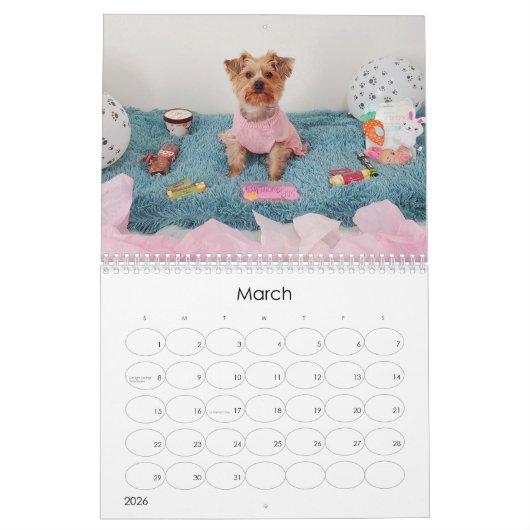 Mayzie Kalender III (2023 Stijl) (Mar 2026)