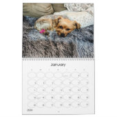 Mayzie Kalender IV (2024 Stijl) (Jan 2026)