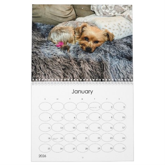 Mayzie Kalender IV (2024 Stijl) (Jan 2026)