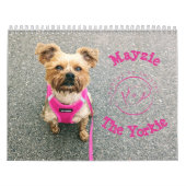 Mayzie Kalender IV (2024 Stijl) (Hoes)